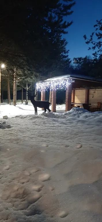Загородный дом для семейного отдыха или для большой компании