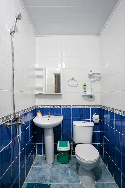 Двухместный номер комфорт с террасой.