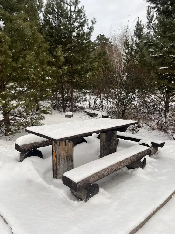 Гостевая часть дома в сосновом бору у реки