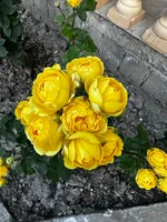 Залейха Рамазанова