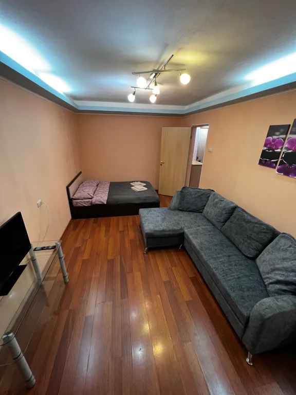 1-й комнатный апартамент