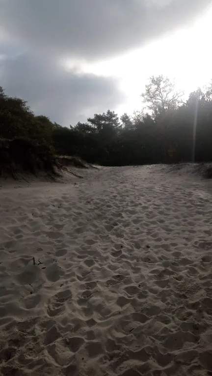 Квартира у моря