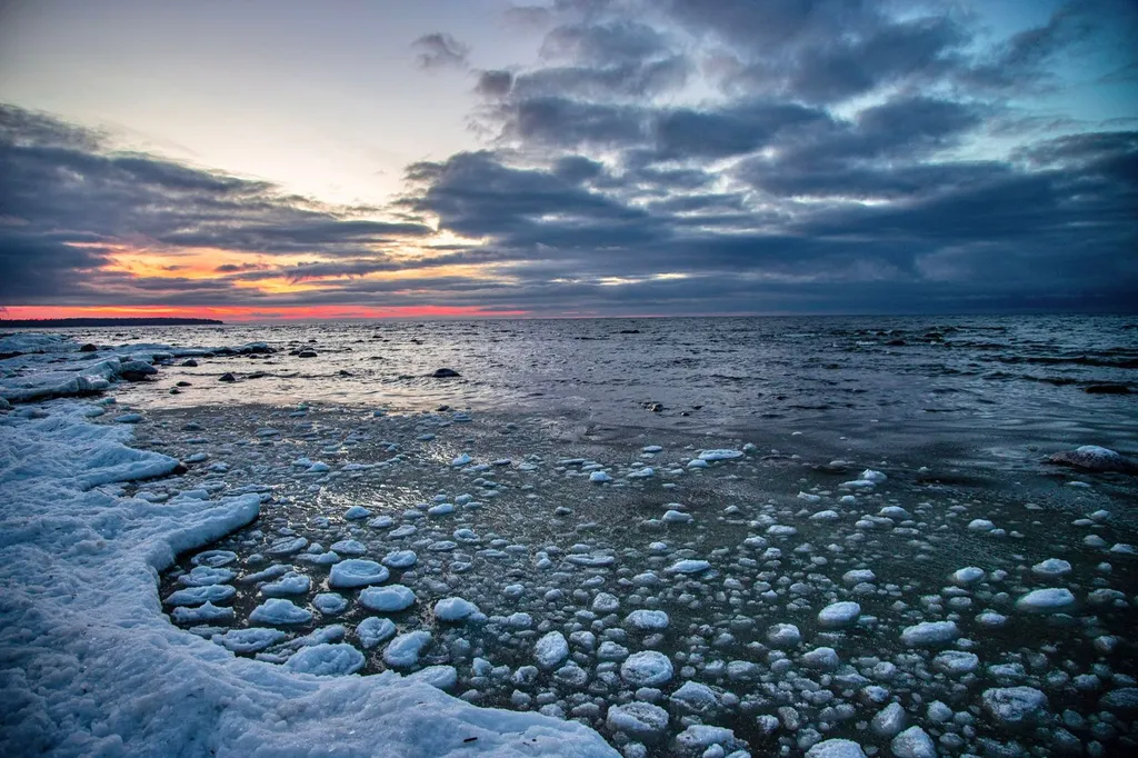 Дизайнерская комфортная студия у Финского залива в окружении леса