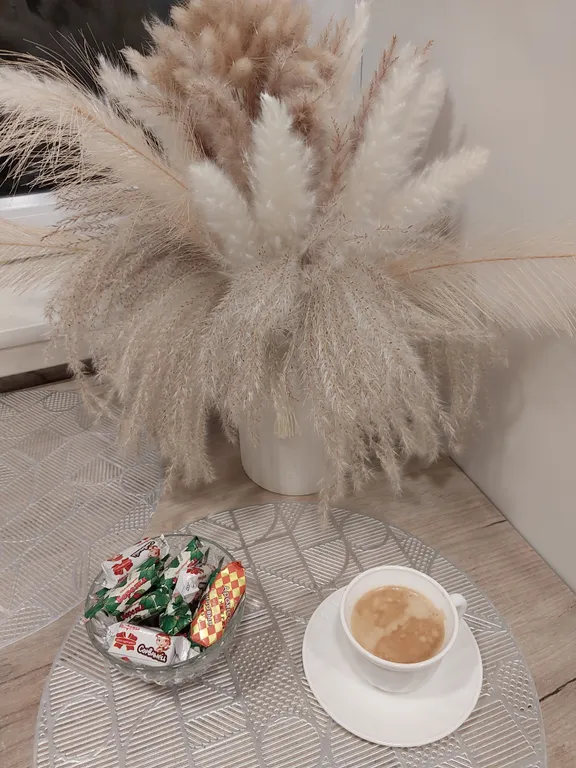 Уютная квартира рядом с Брестской крепостью