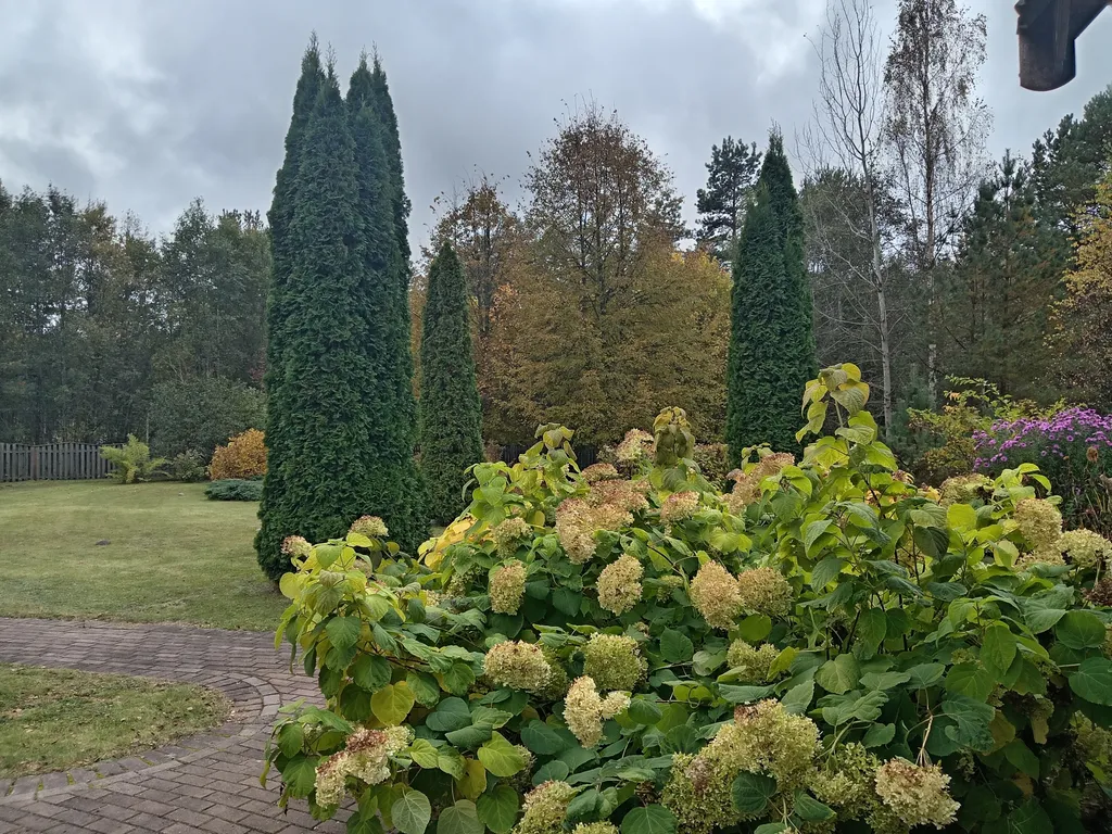 Домик с русской печкой и со всеми удобствами