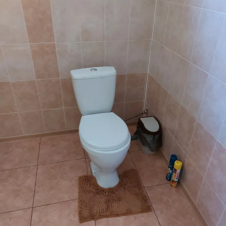 Деревенский дом