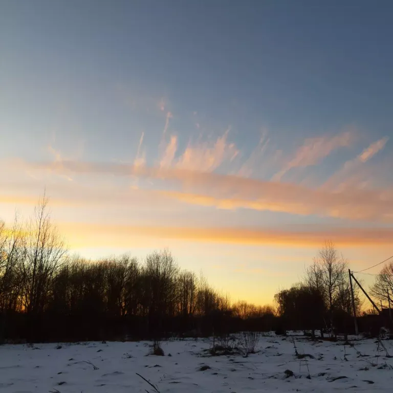 Усадьба Береговая