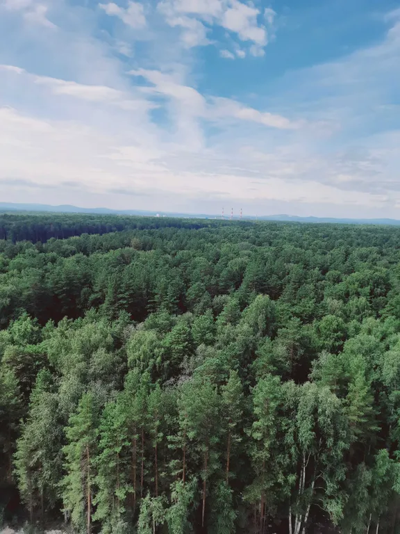 Современная, комфортная студия с видом на лес и горы