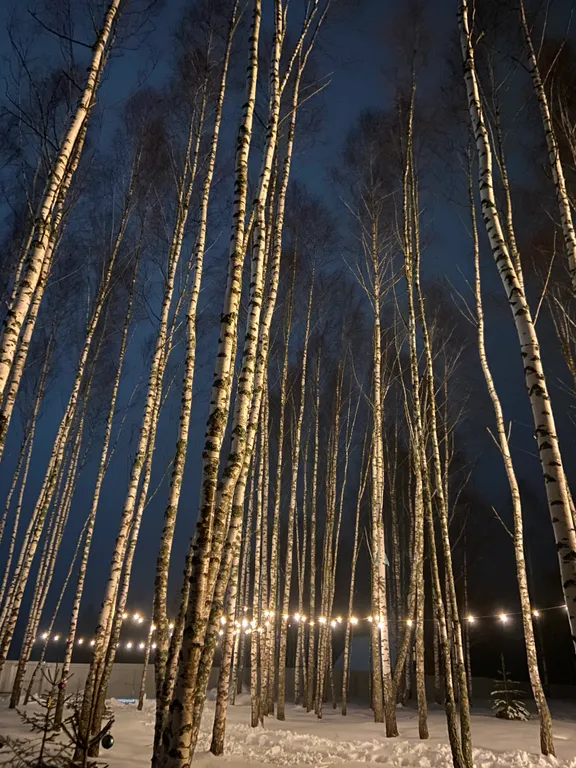 Дом в стиле A-frame