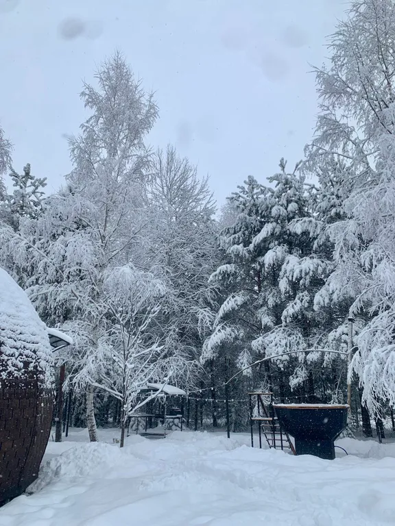 Уникальный купольный дом среди хвойного леса