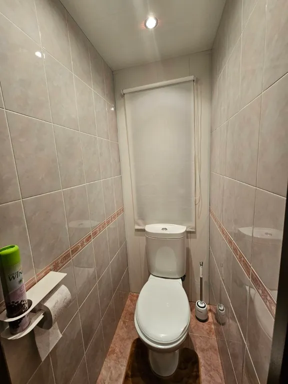 Двушка уютная недалеко от центра напротив ТЦ Green