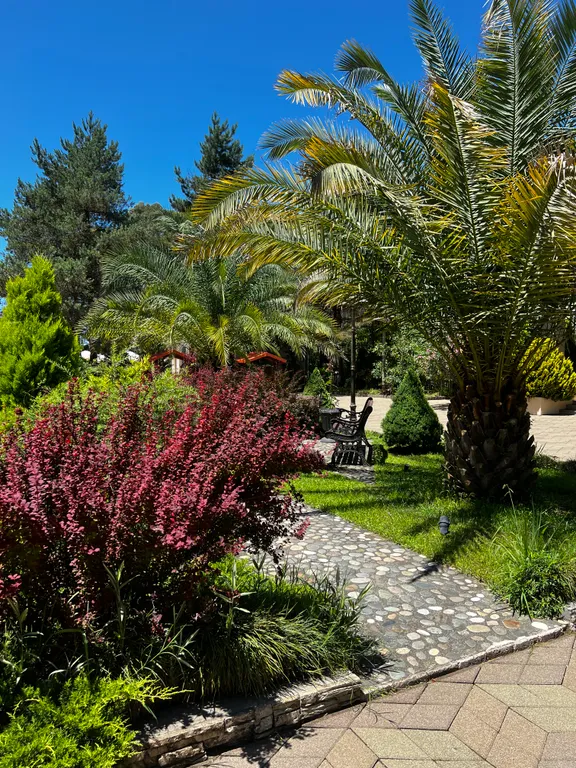 Элитный комплекс Дрим Лэнд Oasis на побережье Грузии