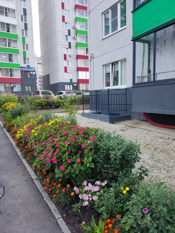 Квартира Студия в Вишневой горке — аренда посуточно в Западный