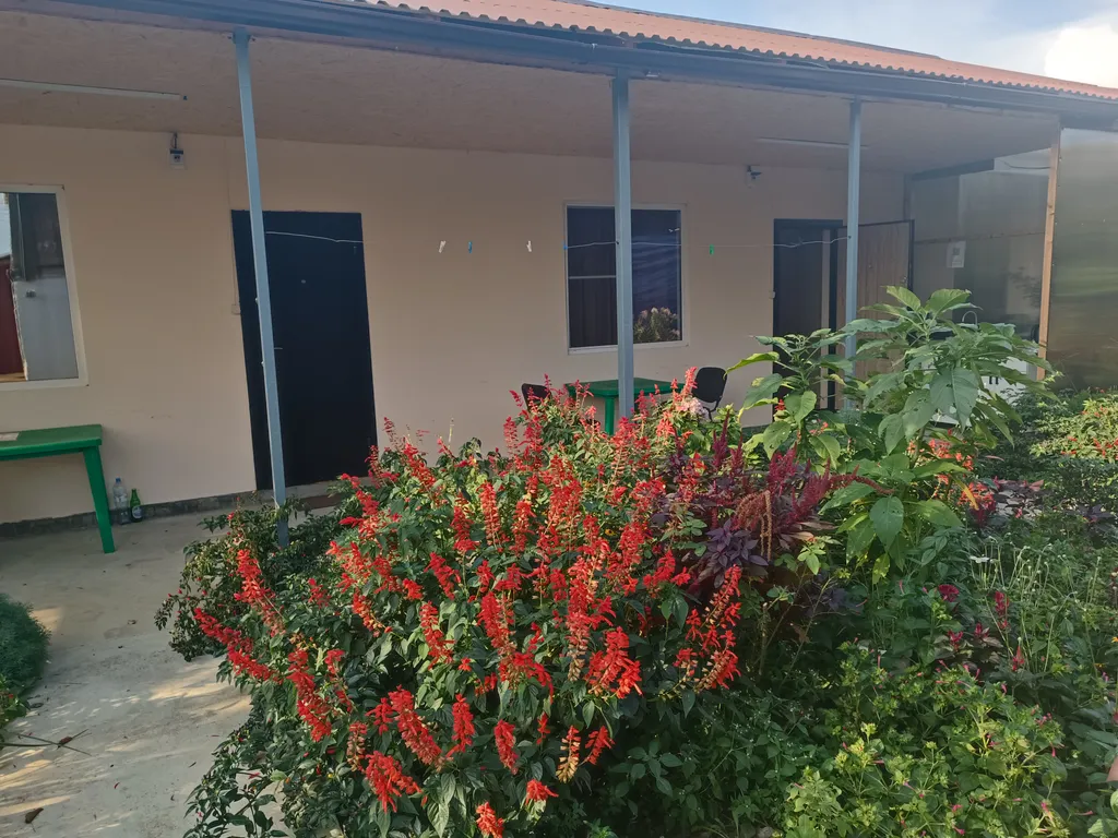 Двухместный номер стандарт с собвеным душевым и туалетом