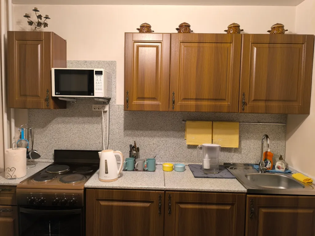 Квартира рядом с лыжной базой в Новоильинском районе