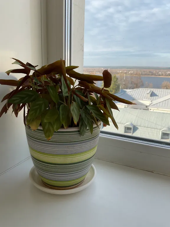 Апартаменты с видом на реку Каму