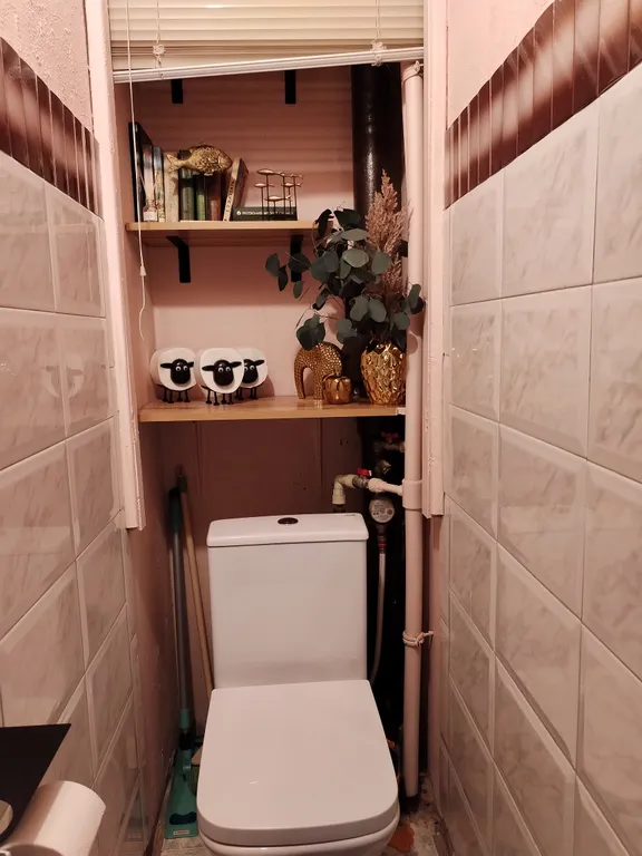 Сестрорецкая Ривьера