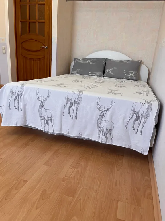 Большая трехкомнатная квартира