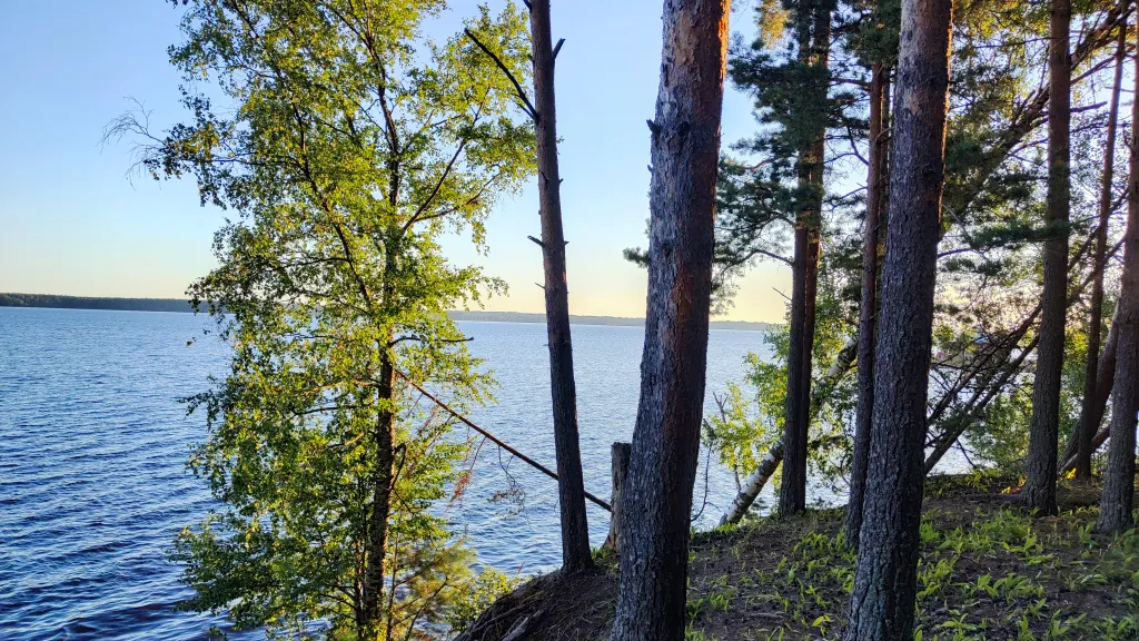 Коттедж Коттедж с баней, чаном и детской площадкой с батутом у озера, в бору — Ланино