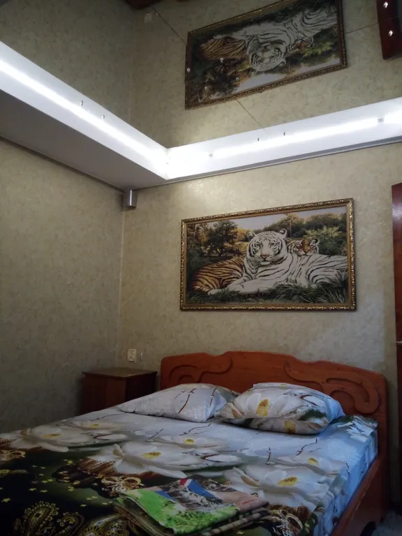 Квартира Отличная квартира с большой кроватью, зеркальным потолком — Ярославль