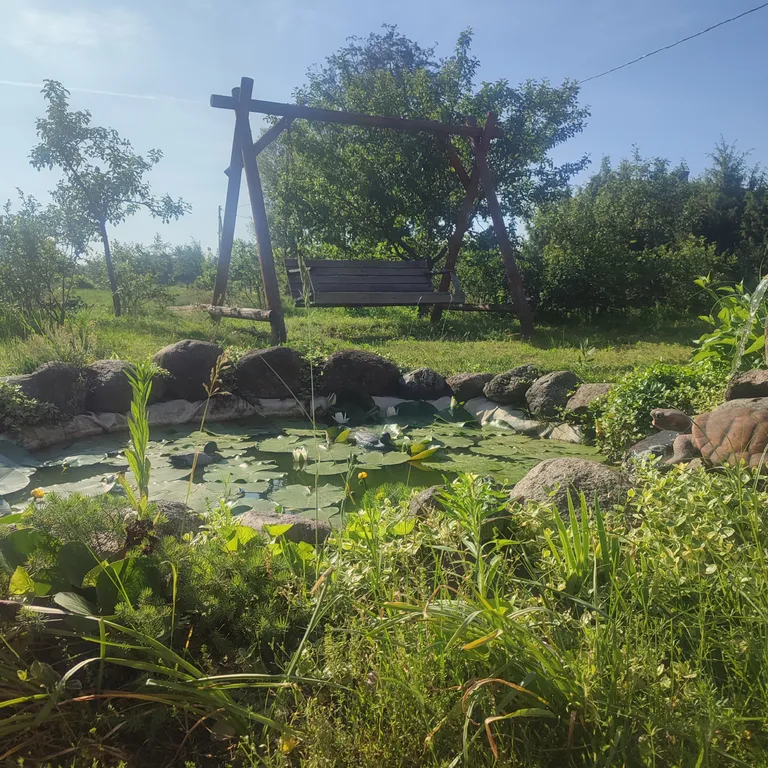 Домик в Беловежской пуще