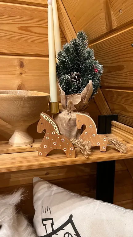 Дом с баней и чаном