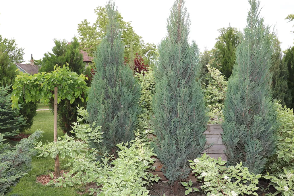 Загородный дом-шале "Pinebrook", аренда, у реки Дон. Сезонный бассейн.