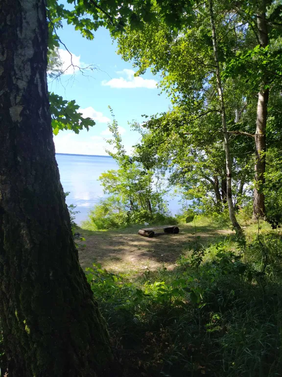 Коттедж на озере Нарочь