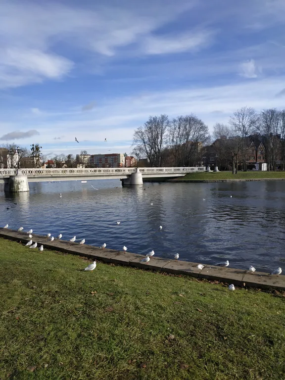 Квартира Квартира У мамы Вари — Калининград