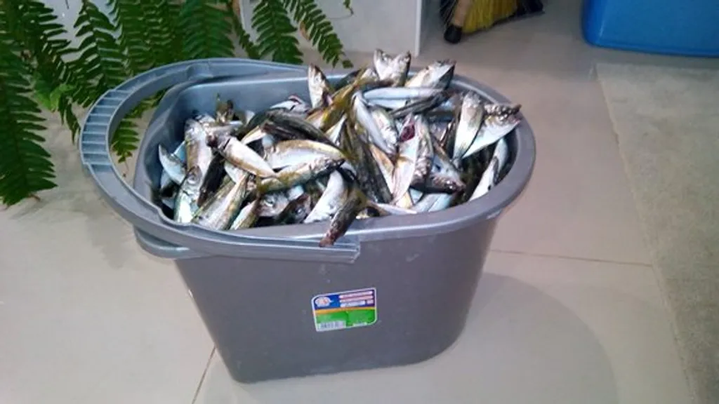 Двухкомнатная квартира у самого моря!(первая линия)