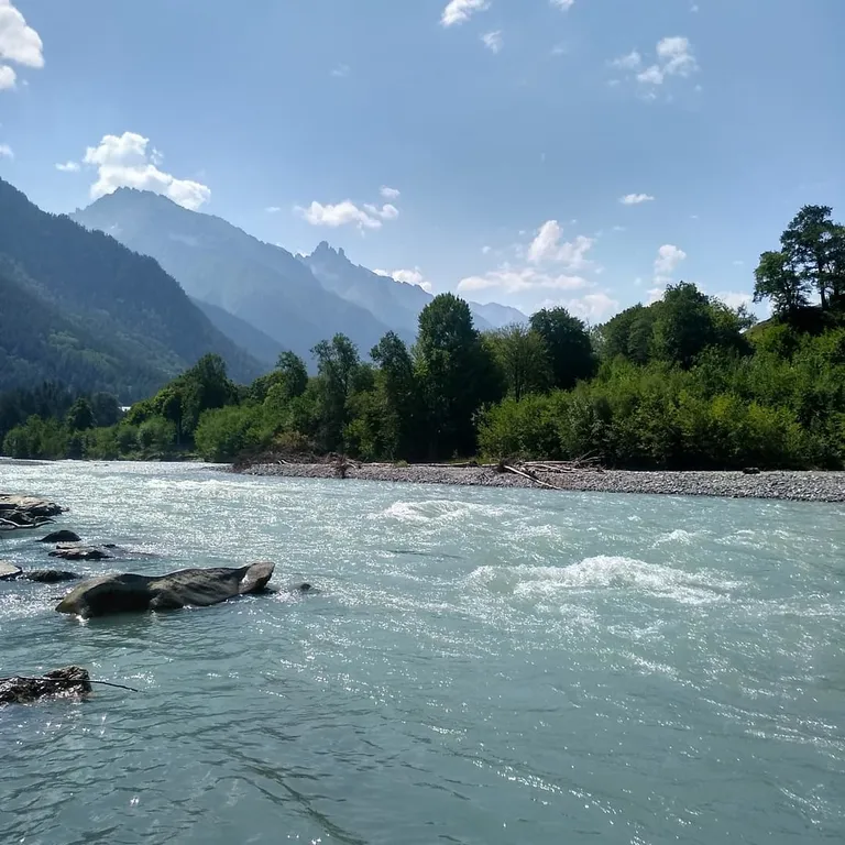 Гостевой дом Лесная сказка