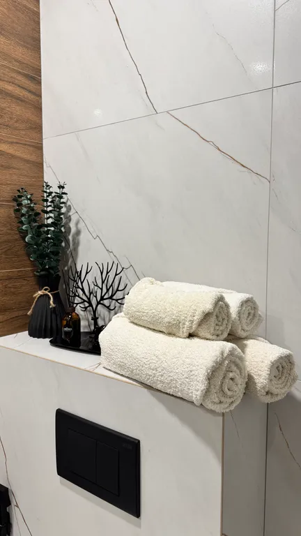 Люкс апартаменты в историческом и деловом центре города