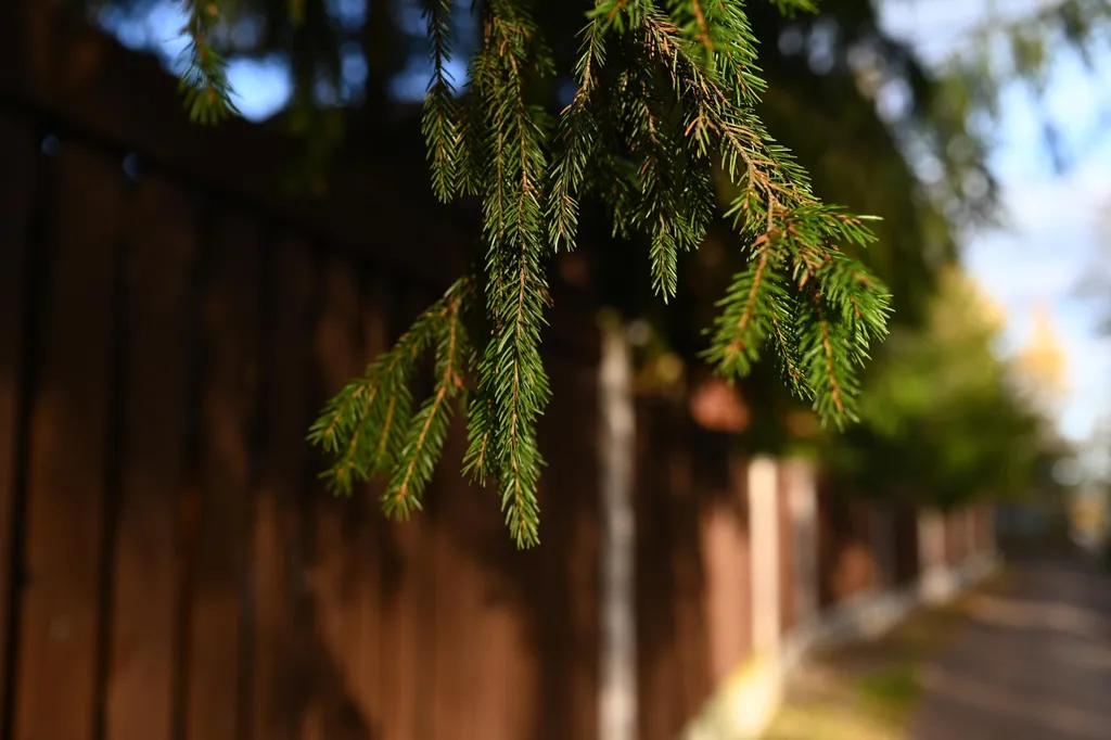 Коттедж Уютный дом — Коробицыно