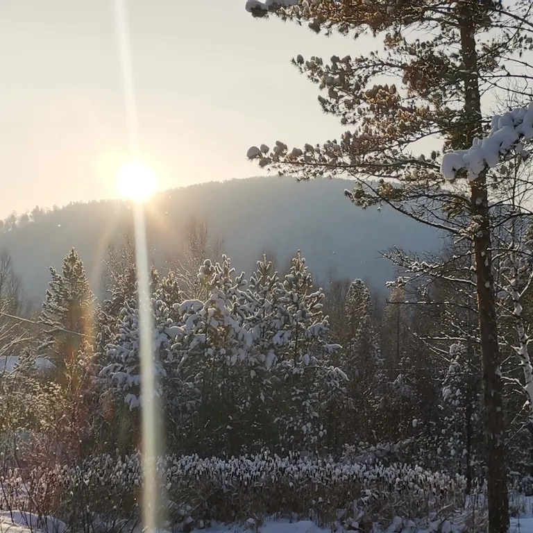 Дом с котом