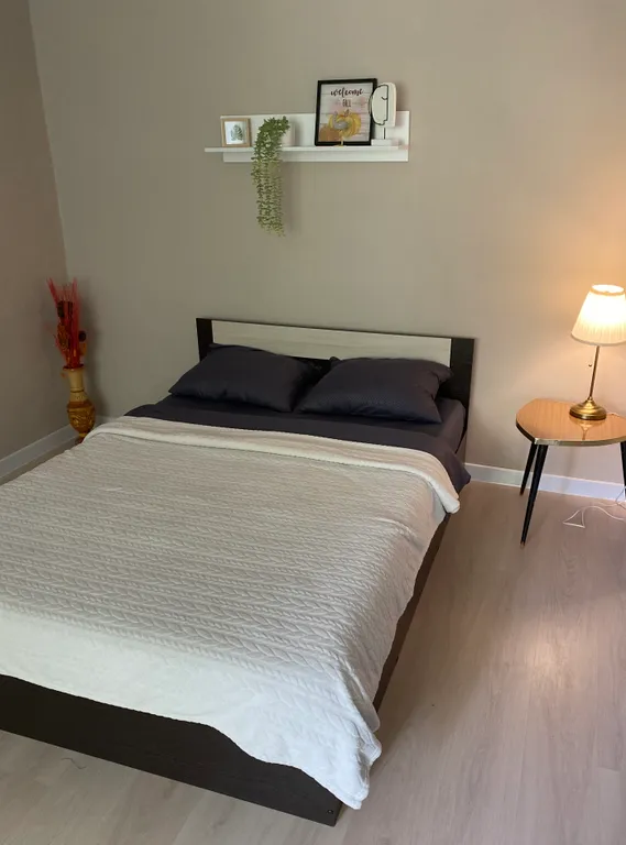 Уютная квартира в центре — аренда посуточно в Челябинск