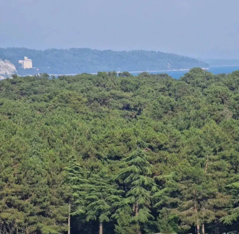 Уютная 4х комнатная квартира в центре