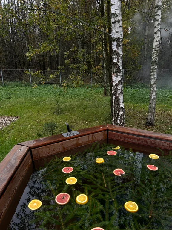 Коттедж Домик у леса — Павловский Посад