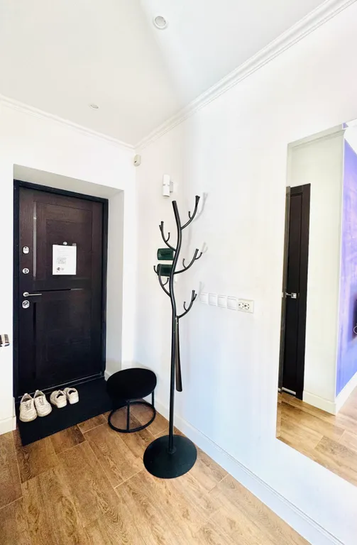 Студия с кондиционером с видом на Спасо-Яковлевский монастырь