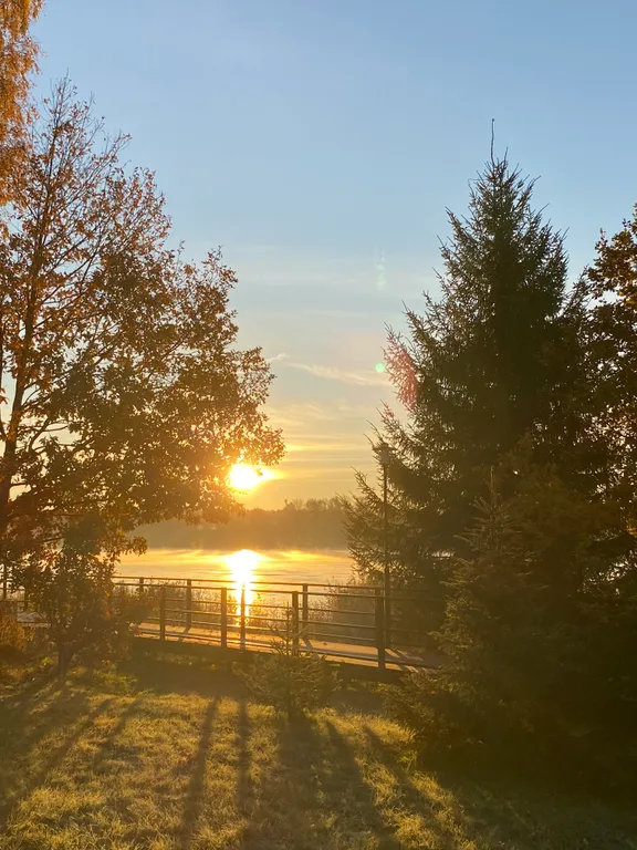 Коттедж на Неве