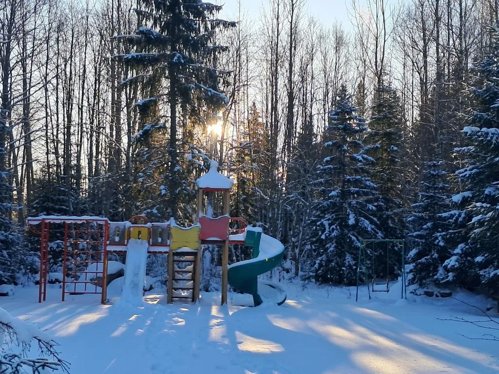 Уютный дом в еловом лесу