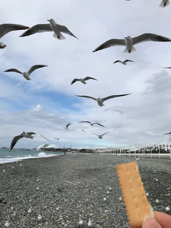 Таунхаус в самом лучшем районе