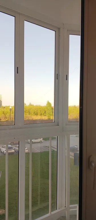 Евро трёхкомнатная и Лесопарк грибы белки и кукушки в Черте Города