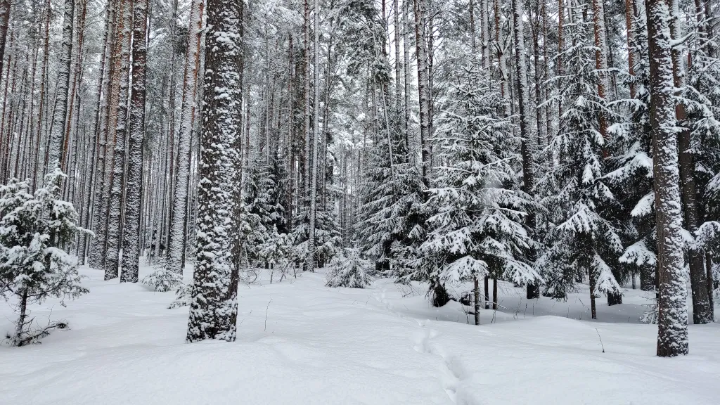 Коттедж Новый дом у озера с бесплатным бильярдом, рядом с турбазой Чайка — Ланино