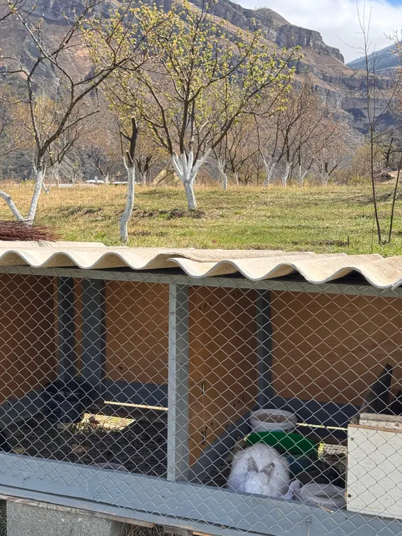 Домик в Гунибе