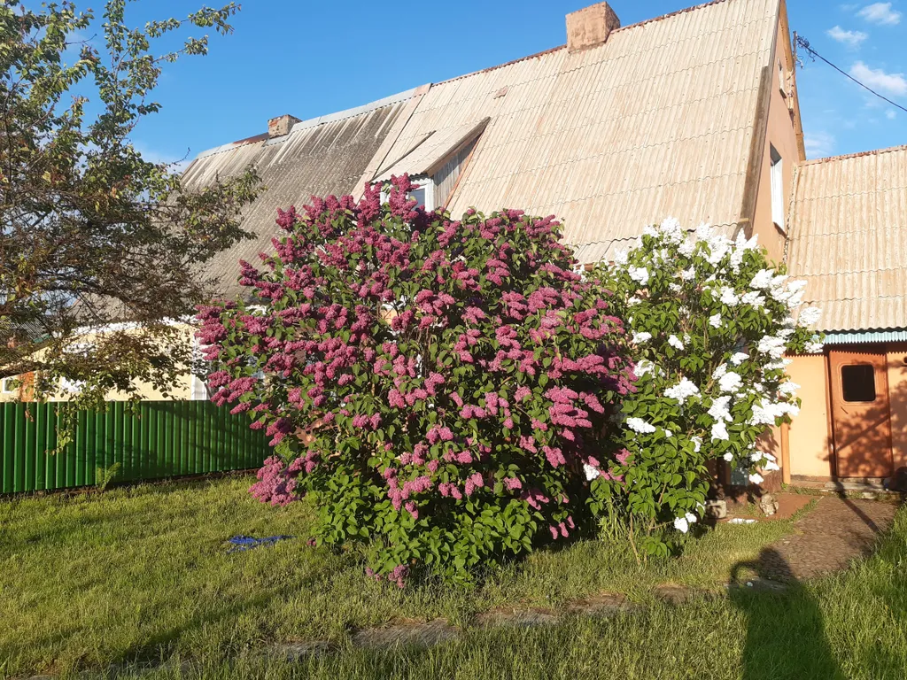 Дом на Балтийской косе