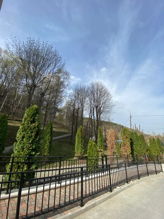 Лесная сказка