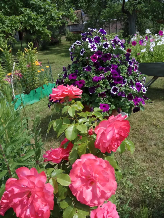 В 10 минутах от Балтийского моря