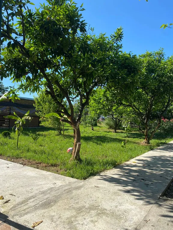 Коттедж Коттедж Уютные бунгало на берегу моря — Сухум