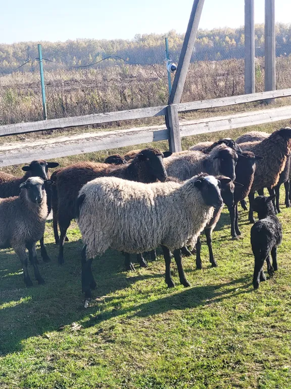 Уютный домик на семейной экоферме