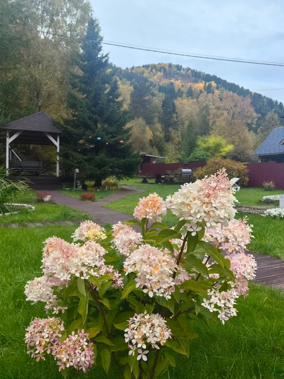 Семейный домик Лаки Хаус поселок Листвянка